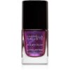 Gabriella Salvete Longlasting Enamel lac de unghii cu rezistenta indelungata cu particule stralucitoare culoare 11 Juicy Plum 11 ml