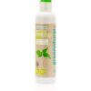 Greenatural Shampoo Linen & Nettle Sampon pentru toate tipurile de par 250 ml