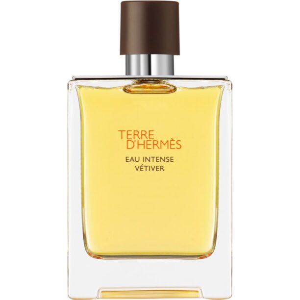 HERMÈS Terre d’Hermès Eau Intense Vétiver Eau de Parfum pentru bărbați 100 ml preţ