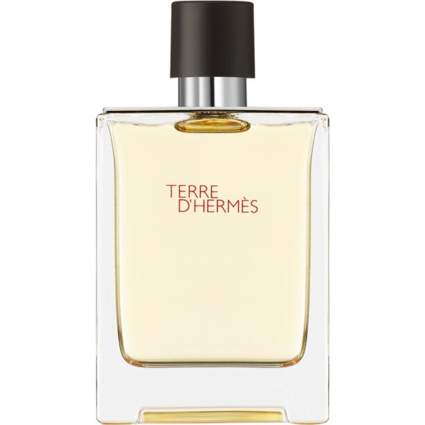 HERMÈS Terre d’Hermès Eau de Toilette pentru bărbați 100 ml preţ