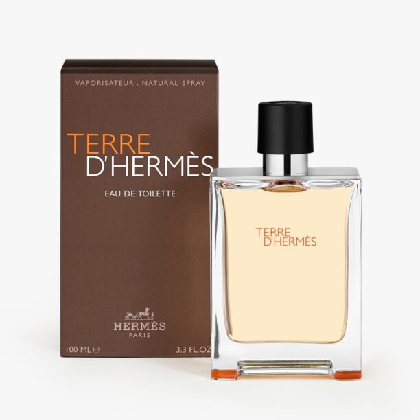 Cumpăra HERMÈS Terre d’Hermès Eau de Toilette pentru bărbați 100 ml