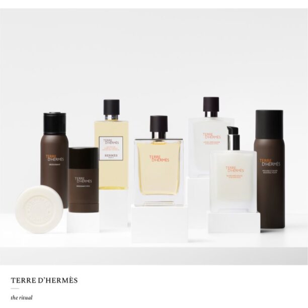 Preţ HERMÈS Terre d’Hermès Eau de Toilette pentru bărbați 100 ml