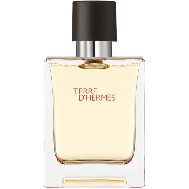 HERMÈS Terre d’Hermès Eau de Toilette pentru bărbați 50 ml preţ