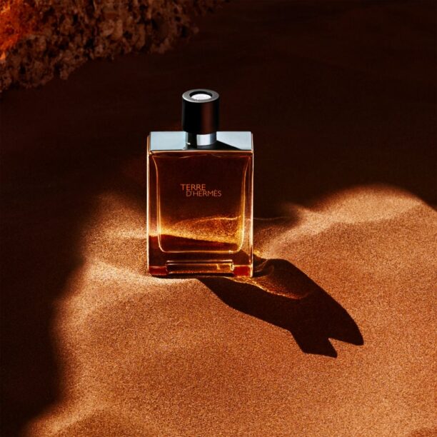 Preţ HERMÈS Terre d’Hermès Eau de Toilette pentru bărbați 50 ml