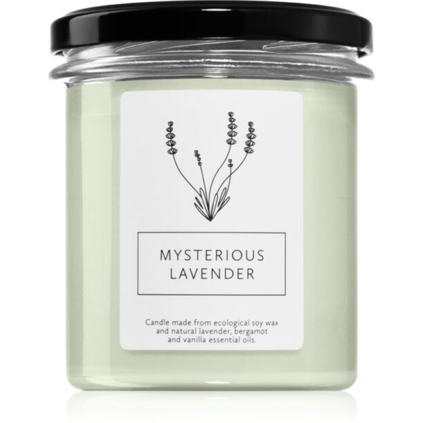 Hagi Mysterious Lavender lumânare parfumată 230 g preţ