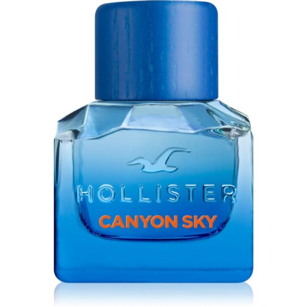 Hollister Canyon Sky For Him Eau de Toilette pentru bărbați 30 ml preţ