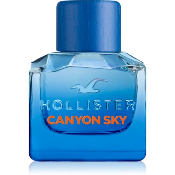 Hollister Canyon Sky For Him Eau de Toilette pentru bărbați 50 ml preţ