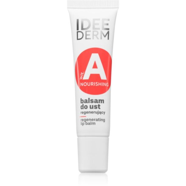 Ideepharm Idee Derm Vitamin A balsam de buze reparator 12 ml