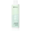 Indola Dandruff sampon anti-matreata 300 ml