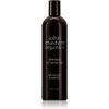 John Masters Organics Lavender & Rosemary Shampoo șampon pentru par normal 473 ml