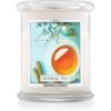 Kringle Candle Herbal Tea lumânare parfumată 411 g