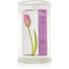 Kringle Candle Tulip lumânare parfumată 624 g