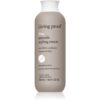 Living Proof No Frizz crema styling anti-electrizare 236 ml