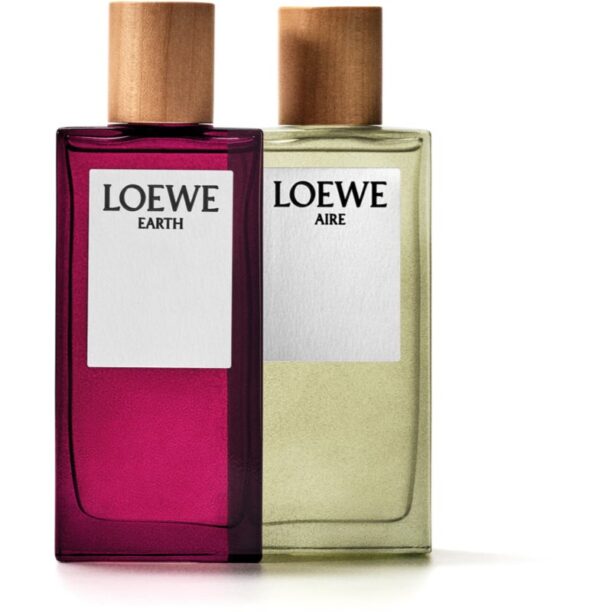 Preţ Loewe Earth Eau de Parfum unisex 100 ml