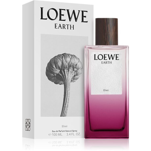 Cumpăra Loewe Earth Elixir Eau de Parfum unisex 100 ml