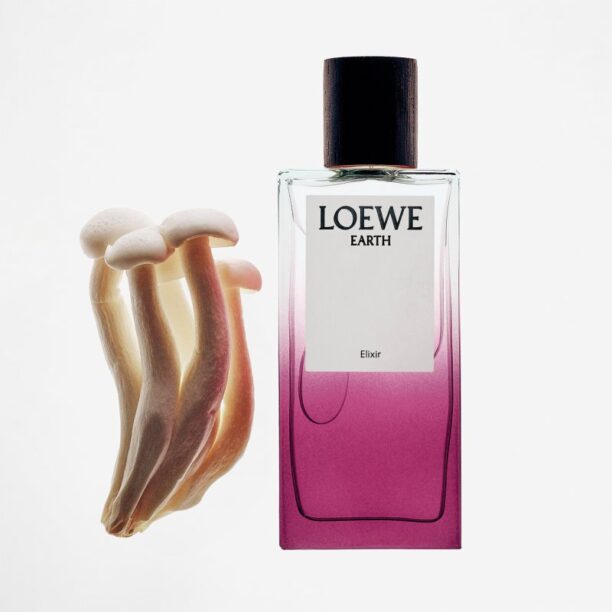 Original Loewe Earth Elixir Eau de Parfum unisex 100 ml