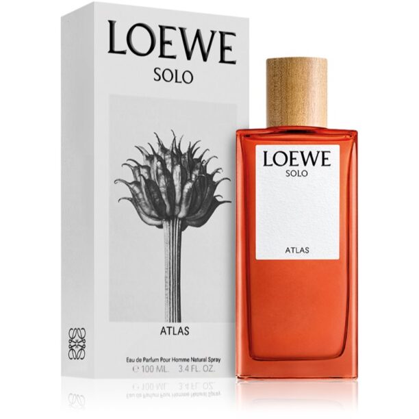 Loewe Solo Atlas Eau de Parfum pentru bărbați 100 ml preţ