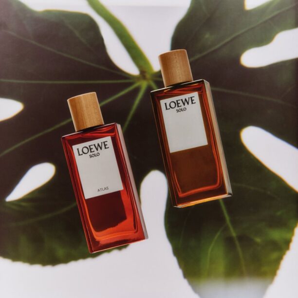 Preţ Loewe Solo Atlas Eau de Parfum pentru bărbați 100 ml