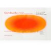 NATURE REPUBLIC Kombucha Black Tea The First Essence Mask Sheet masca hidratanta pentru ten uscat și sensibil 25 ml