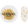 NEONAIL Dried Flowers flori uscate pentru unghii culoare 07 Yellow 1 buc