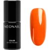 NEONAIL Your Summer