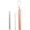 Naturalis Stainless Steel Straw Telescopic set pentru utilizarea de zi cu zi