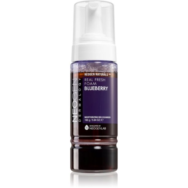 Neogen Dermalogy Real Fresh Blueberry crema hidratanta pentru curatare 160 g