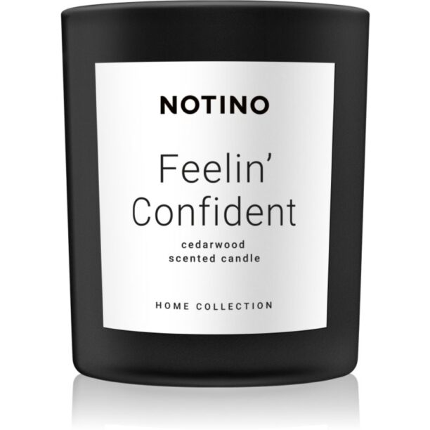 Notino Home Collection Feelin' Confident (Cedarwood Scented Candle) lumânare parfumată 220 g preţ