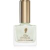 Pani Walewska Nail polish lac de unghii cu uscare rapida culoare No. 21 White Diamond 9 ml