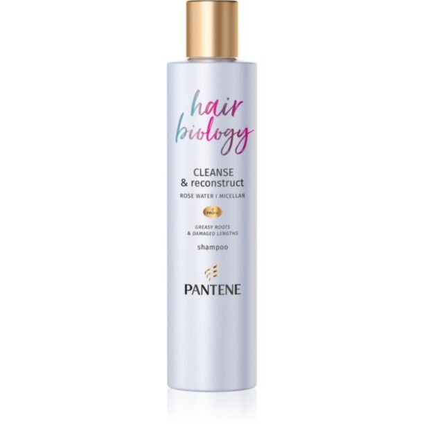 Pantene Hair Biology Cleanse & Reconstruct șampon pentru par gras 250 ml preţ