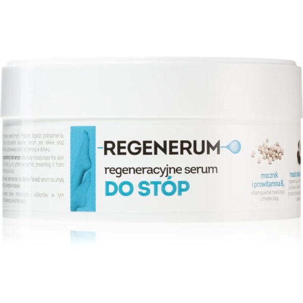 Regenerum Foot Care ser regenerator pentru picioare 125 ml preţ