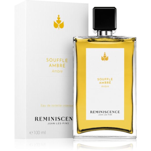 Reminiscence Souffle Ambre Eau de Toilette unisex 100 ml preţ