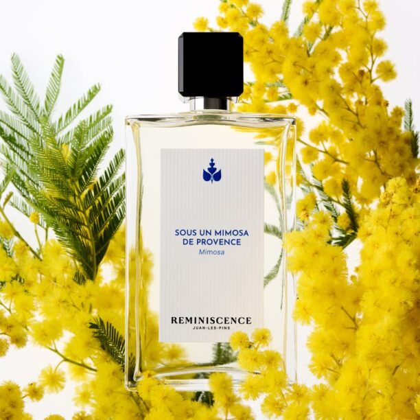 Cumpăra Reminiscence Sous un Mimosa de Provence Eau de Toilette unisex 50 ml