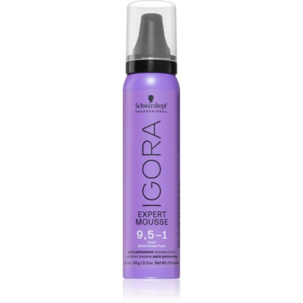 Schwarzkopf Professional IGORA Expert Mousse vopsea de par sub forma de spuma pentru păr culoare 9