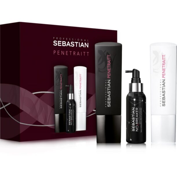 Sebastian Professional Penetraitt set cadou pentru par degradat sau tratat chimic preţ