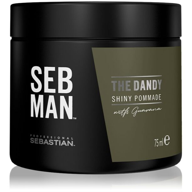 Sebastian Professional SEB MAN The Dandy alifie pentru par pentru o fixare naturala 75 ml