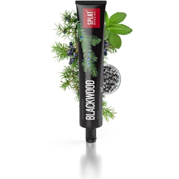 Splat Special Blackwood pasta de dinti pentru albire aroma Dark Mint 75 ml preţ