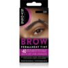 Syoss Brow Tint culoare pentru sprancene culoare Black 10 ml