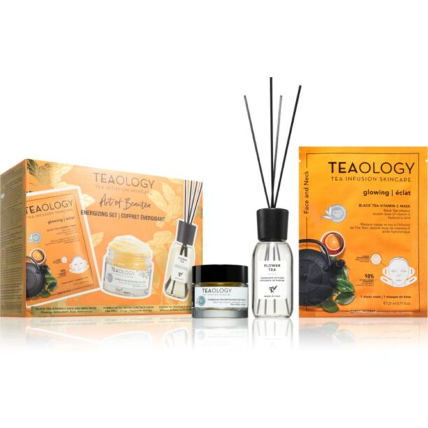 Teaology Kombucha Tea Energizing Set set cadou