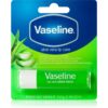 Vaseline Lip Care balsam de buze culoare Aloe 4