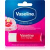 Vaseline Lip Care balsam de buze culoare Rosy 4