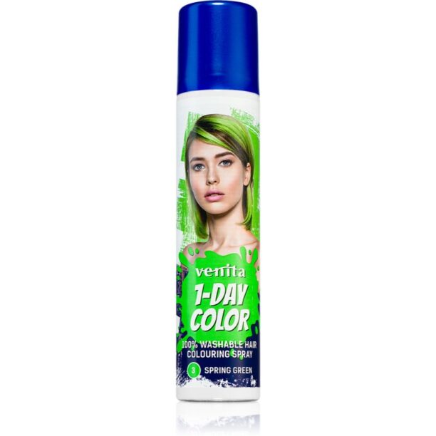 Venita 1-Day Color spray colorat pentru păr culoare No. 3 - Spring Green 50 ml