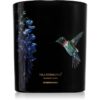 Vila Hermanos Jungletopia Hummingbird lumânare parfumată 200 g