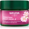 Weleda Wild Rose & White Tea crema iluminatoare pentru noapte 40 ml