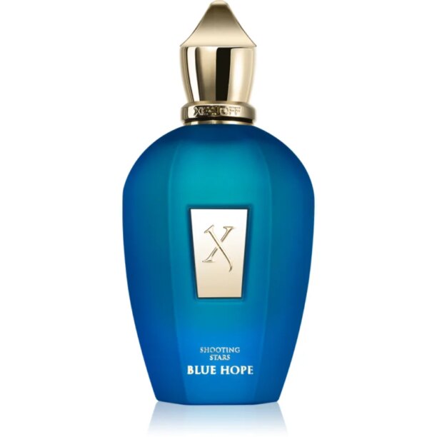 Xerjoff Blue Hope parfum unisex 100 ml preţ