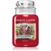 Yankee Candle Red Raspberry lumânare parfumată 623 g