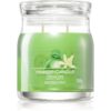 Yankee Candle Vanilla Lime lumânare parfumată Signature 368 g