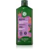 Yves Rocher Boucles șampon pentru păr creț with organic flax 300 ml