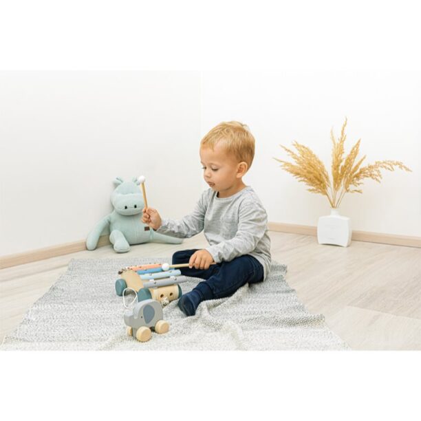 Zopa Wooden Animal animal pe rotile din lemn Elephant 1 buc preţ