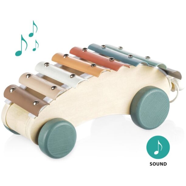 Zopa Wooden Pull Xylophone xilofon de tras din lemn 1 buc preţ